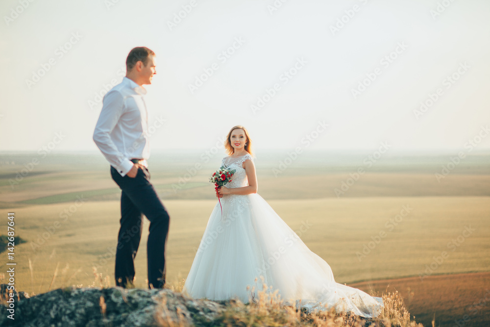 stylish gorgeous couple newlyweds standing on the rocks in the mountains stylish gorgeous couple newlyweds standing on the rocks in the mountains