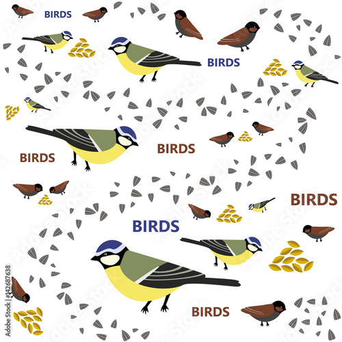 Titmouse pattern seed and wheat bird text