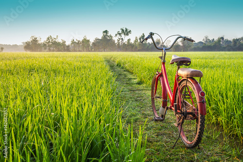 Red bicycle with rural view background