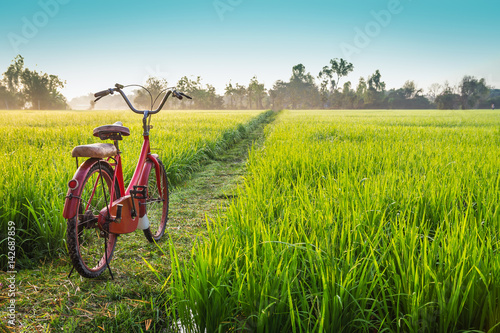 Red bicycle with rural view background