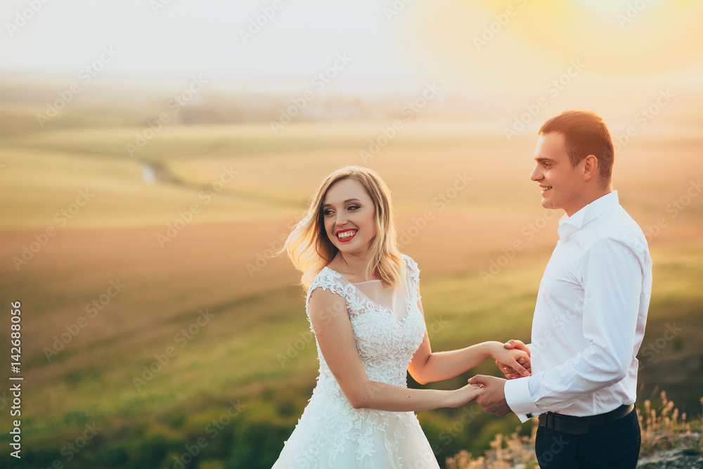 happy newly married couple posing in the mountains happy newly married couple posing in the mountains