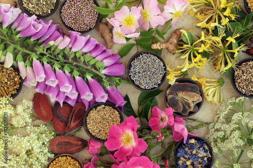 Medicinal Flower and Herb Selection. Used in natural alternative herbal medicine.