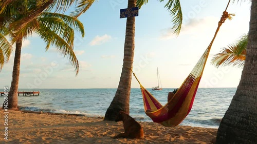 Man With a Dog in a Hammock