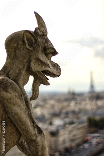 Paris cityscape from Notre Dame
