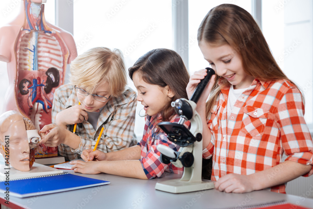 Productive classmates working on biology assignment Productive classmates working on biology assignment