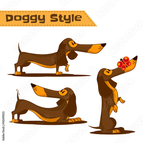 Doggy style theme. Set of cartoon brown dachshund in different poses. Hand drawn vector illustration isolated on white background for design your website or publications. 
