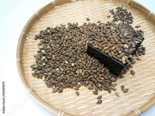 殻付きハトムギ茶