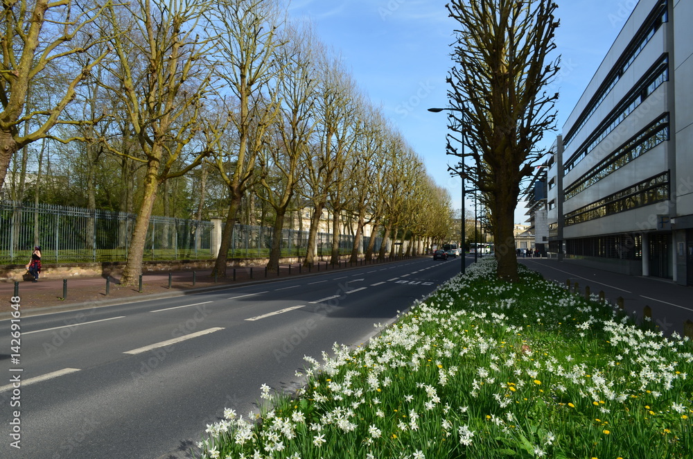 Boulevard dans le centre-ville de Caen. (Normandie-France)