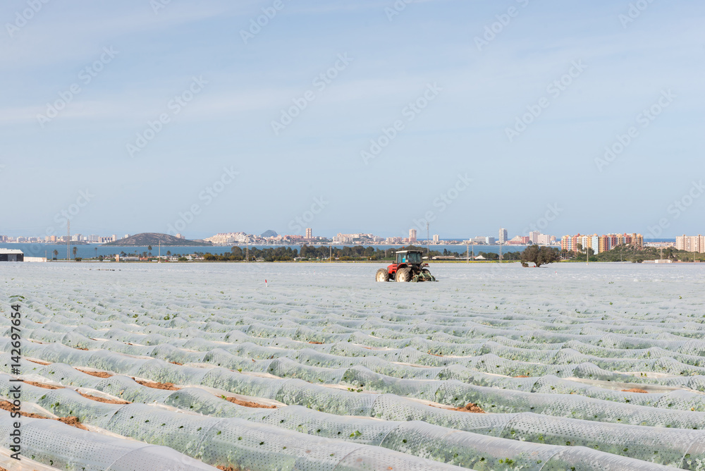 Naklejka premium Tractor on the field with greenhouses.