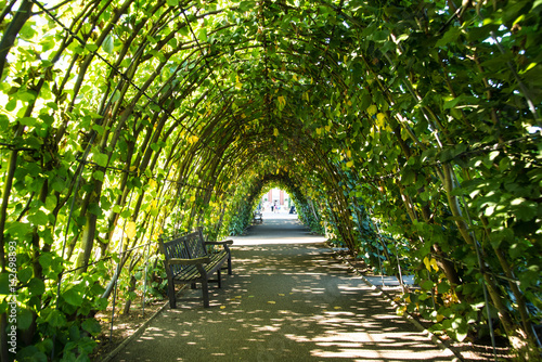 Canopy Garden Pathway 