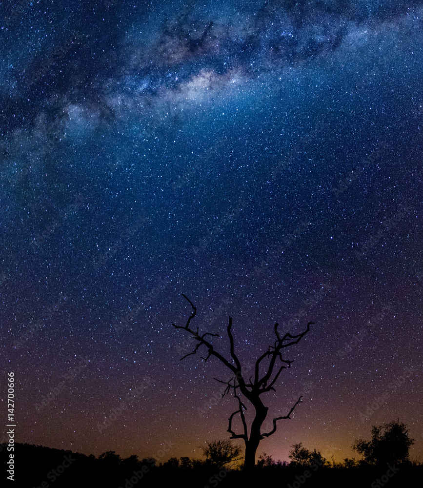 A panarama of the African night sky A panarama of the African night sky