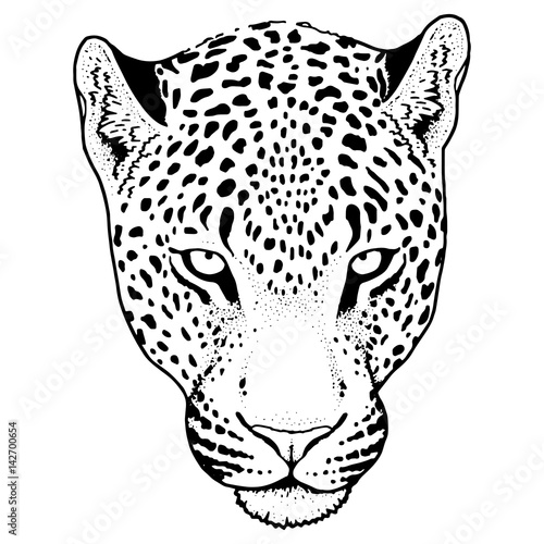 Leopard face tattoo ,Vector illustration, print