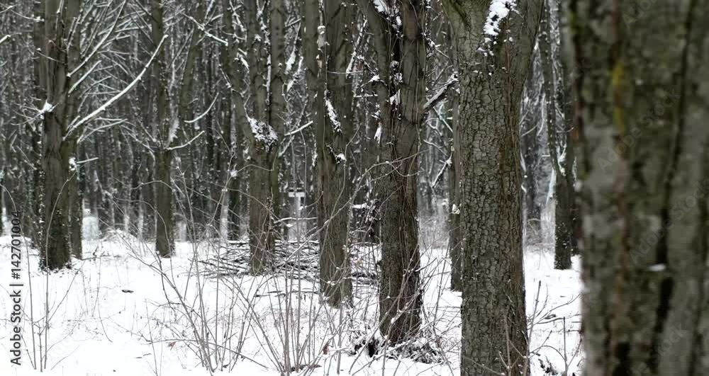Pov Side View of Walking by Snow-Covered Parck Forest Walkway. Gimbal Stabilized Pov Side View of Walking by Snow-Covered Parck Forest Walkway. Gimbal Stabilized
