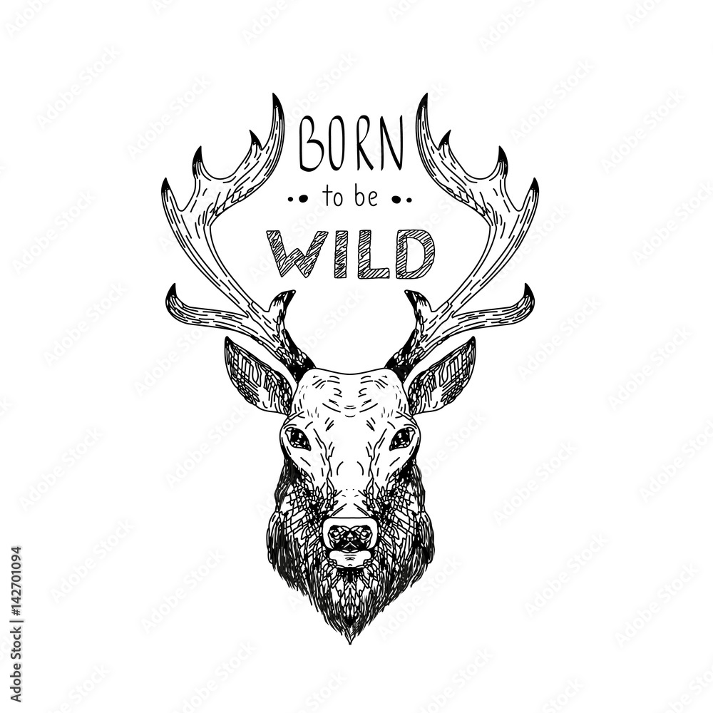 Hand drawn vector wild forest illustration Hand drawn vector wild forest illustration