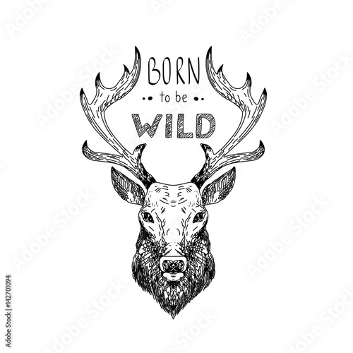 Hand drawn vector wild forest illustration