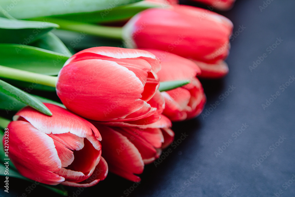 Red, fresh tulips as a gift on a black background, a place for an inscription. Flowers love.Happy Mother Day.Copy space.selective focus. Red, fresh tulips as a gift on a black background, a place for an inscription. Flowers love.Happy Mother Day.Copy space.selective focus.