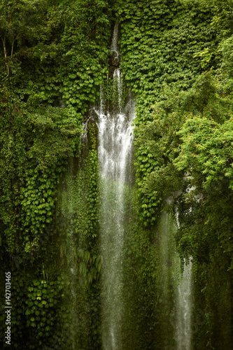 Waterfall in wild nature. Tropical forest.