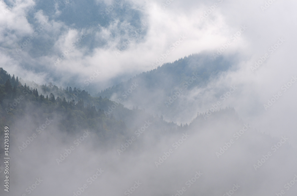 Autumn landscape with fog in a mountain forest Autumn landscape with fog in a mountain forest