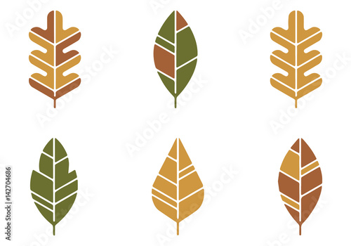 Leaf vector. Draw of autumn leaves.