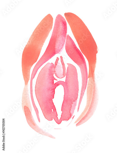 Abstract anatomical scheme of healthy external female genitalia painted in watercolor on clean white background photo