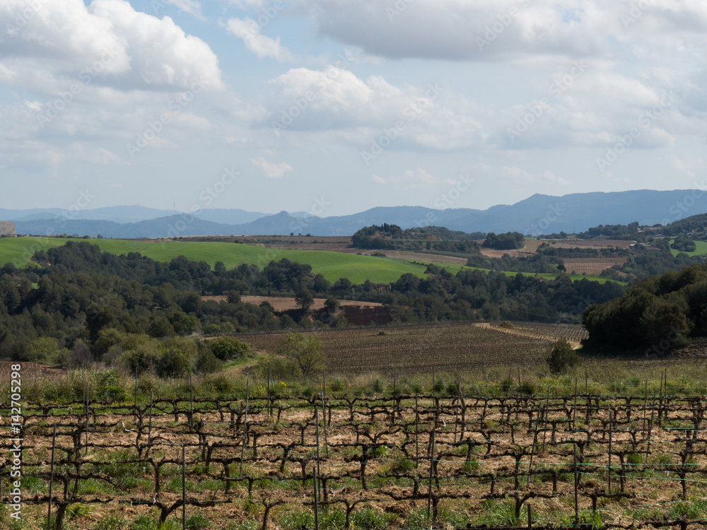 Naklejka premium Paisaje de Can Bou 2