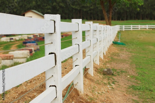 White fence on the farm