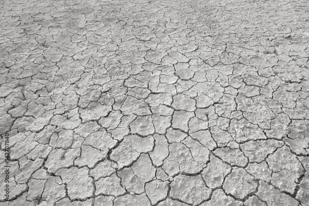 Top view of cracked and barren ground, clay desert texture.Color toned. Top view of cracked and barren ground, clay desert texture.Color toned.