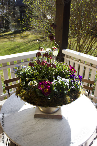 Frühling