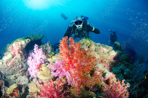 Scuba diving, fish and coral reef underwater © papi8888