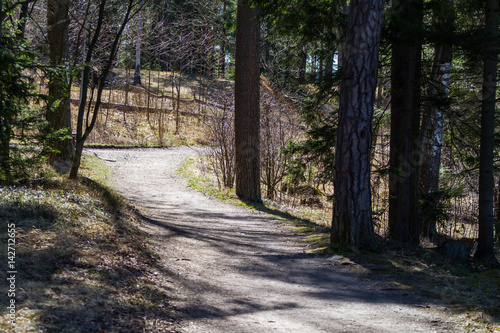 Hiking trail on Seurasaari island in Finland photo