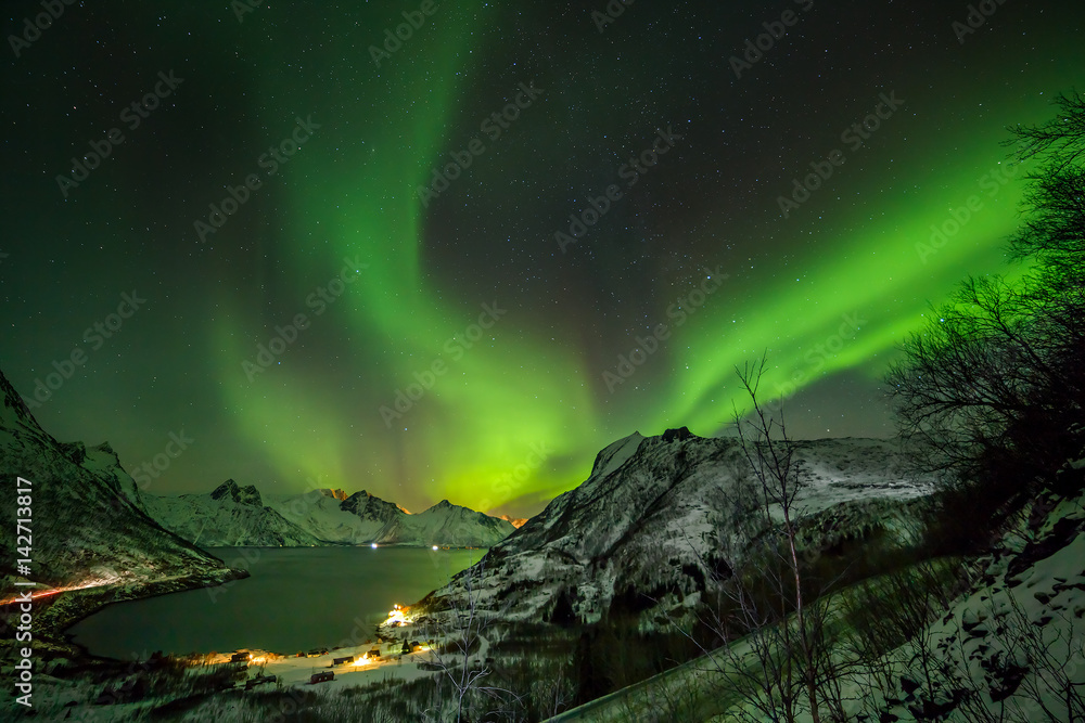 Aurora borealis (Polar lights) over the mountains in the North of Europe - Mefjord, Lofoten Islands, Norway
