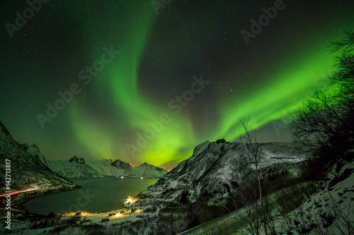 Aurora borealis  Polar lights  over the mountains in the North of Europe - Mefjord  Lofoten Islands  Norway