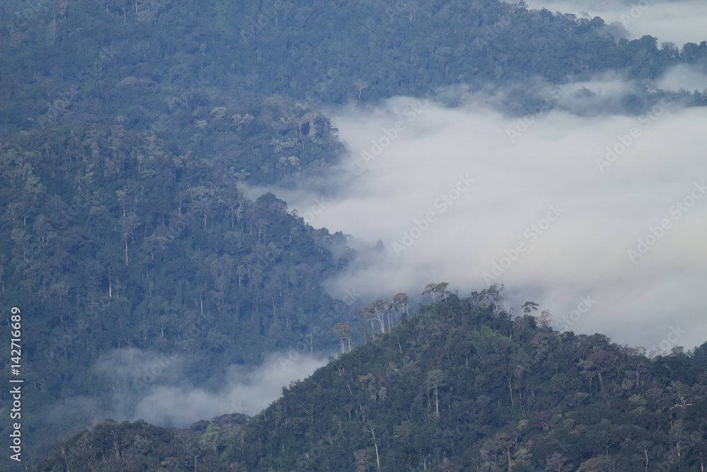 Misty mountain in Thong Pha Phum National Park,Thailand Misty mountain in Thong Pha Phum National Park,Thailand