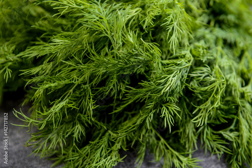 Macro picture of green dill on grey table