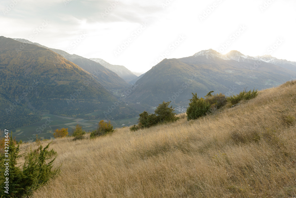 Sunset in Italy with golden grass in the front and a well-lightened mountain range in the background