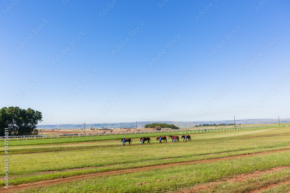 Naklejka premium Race Horses Grooms Training Landscape