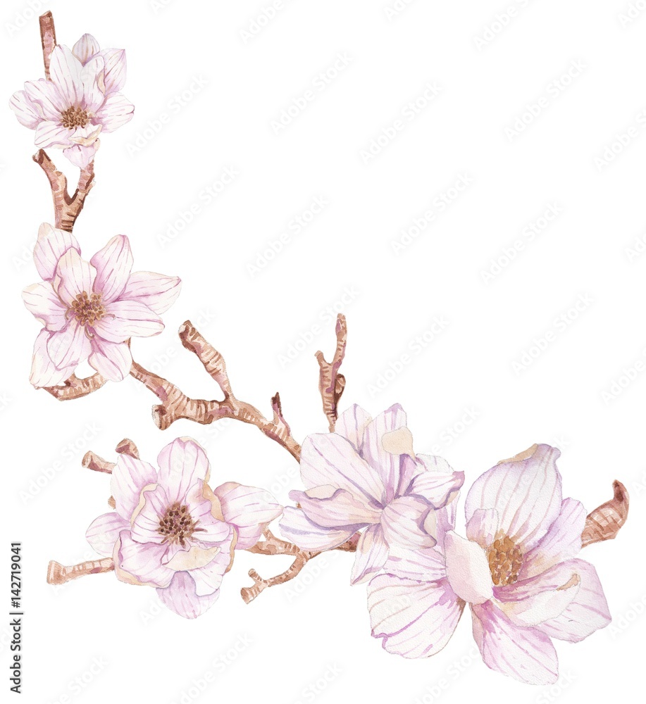 Naklejka premium Watercolor branches of magnolia