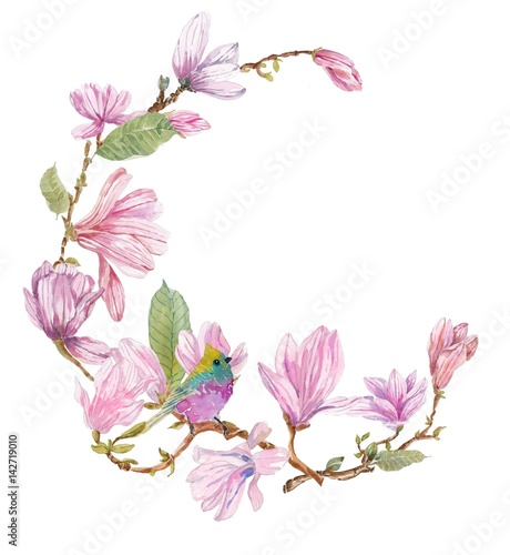 Fototapeta Naklejka Na Ścianę i Meble -  Watercolor branches of magnolia