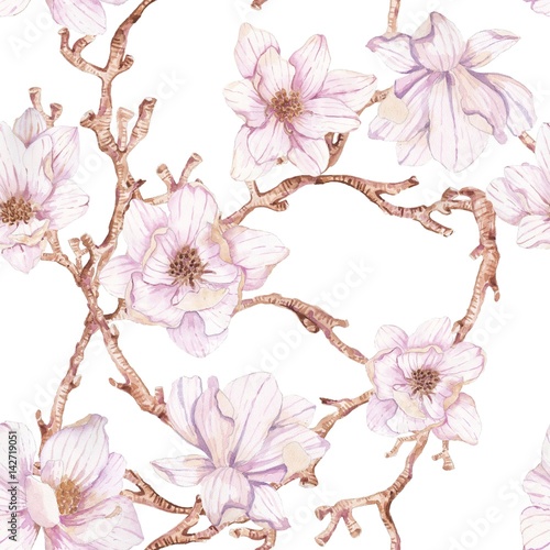Fototapeta Akwarela gałęzie magnolii, wzór
