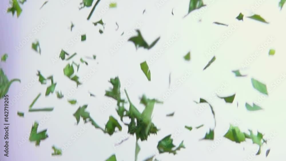 Green parsley is flying on a white background Green parsley is flying on a white background