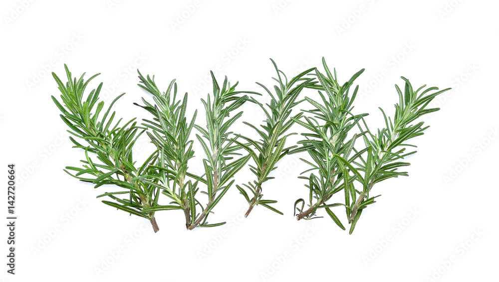 Fototapeta premium rosemary isolated on white background