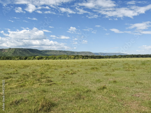 View on savanna plain before mountains against cloudy sky background. Lake Manyara National Park  Tanzania  Africa.   
