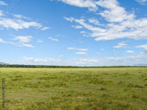View on savanna plain against cloudy sky background. Lake Manyara National Park  Tanzania  Africa.   
