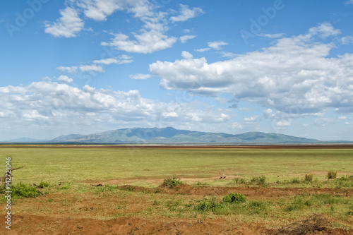 View on savanna plain before mountains against cloudy sky background. Lake Manyara National Park, Tanzania, Africa. 
