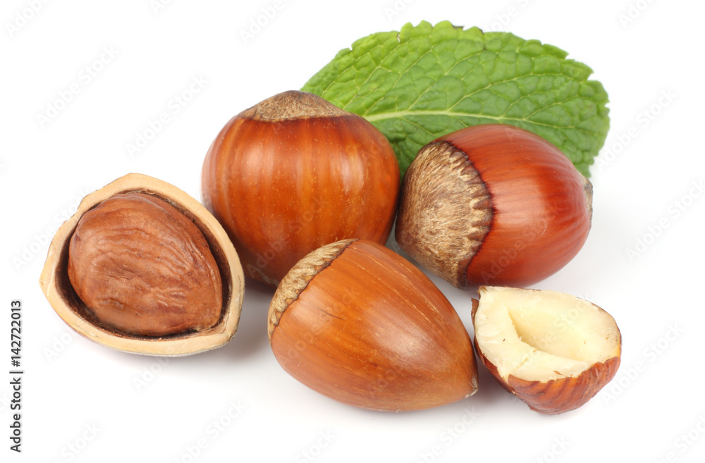 hazelnut with green leaf isolated on white background hazelnut with green leaf isolated on white background