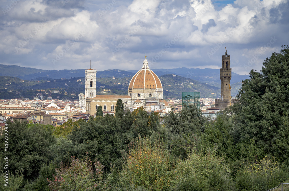 Fototapeta premium Florence from the Pitti Palace, Florence