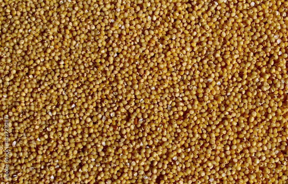 Hulled millet Hulled millet