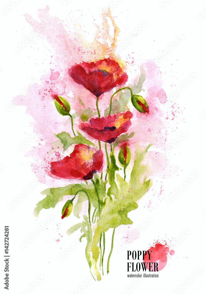 Bouquet red poppy flowers on white background. Watercolor illustration.