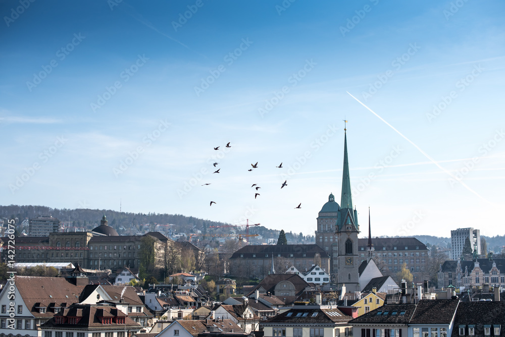 Cityscape birds flying over Historic Zurich center