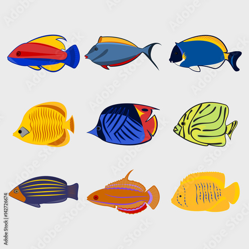 Icon reef fish set.